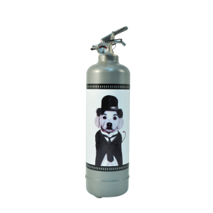 pets_rock_cinema_gris