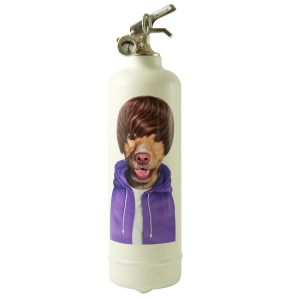 pets_rock_justin_biber_blanc