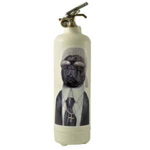 pets_rock_karl_blanc